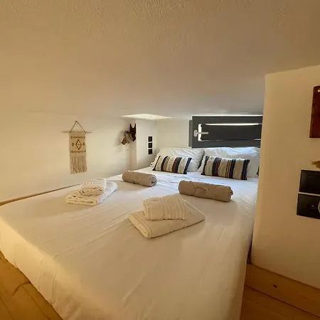 Xerolithia Exo Gonia