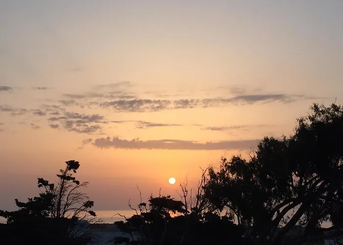 Xerolithia * Exo Gonia